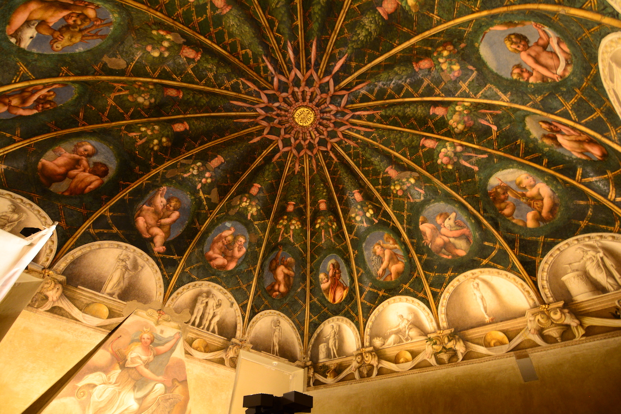 Camera di San Paolo Parme