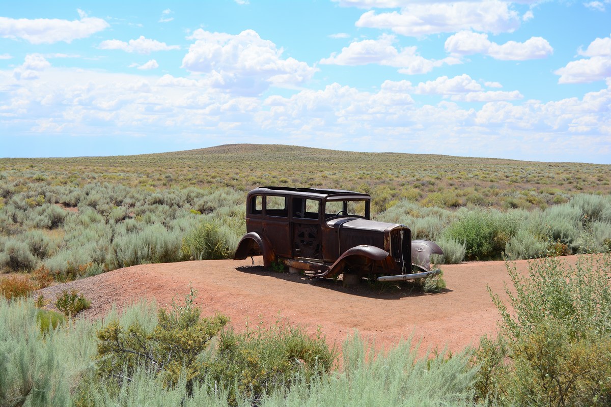 route 66 Petrified Forest