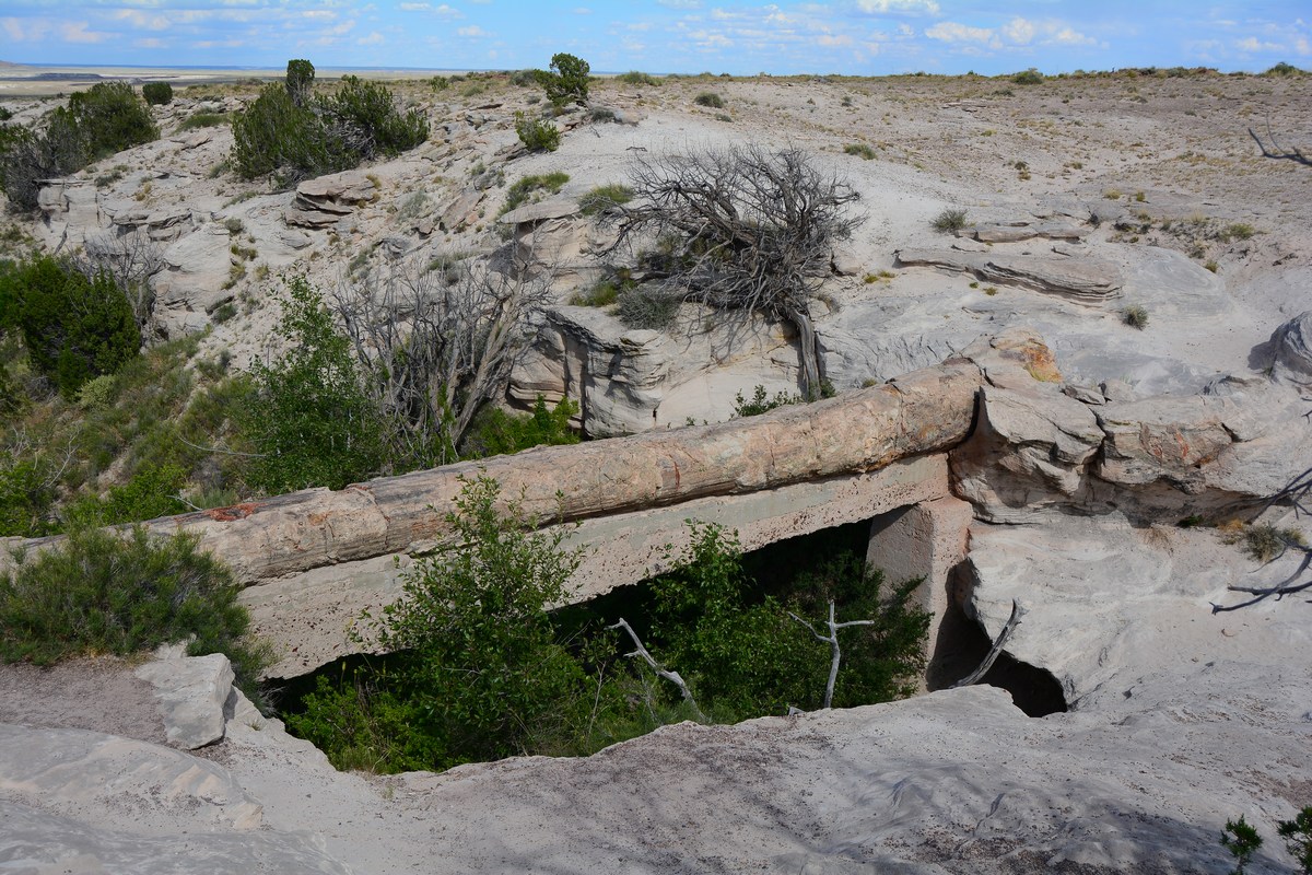 Agate Bridge Petrified Forest