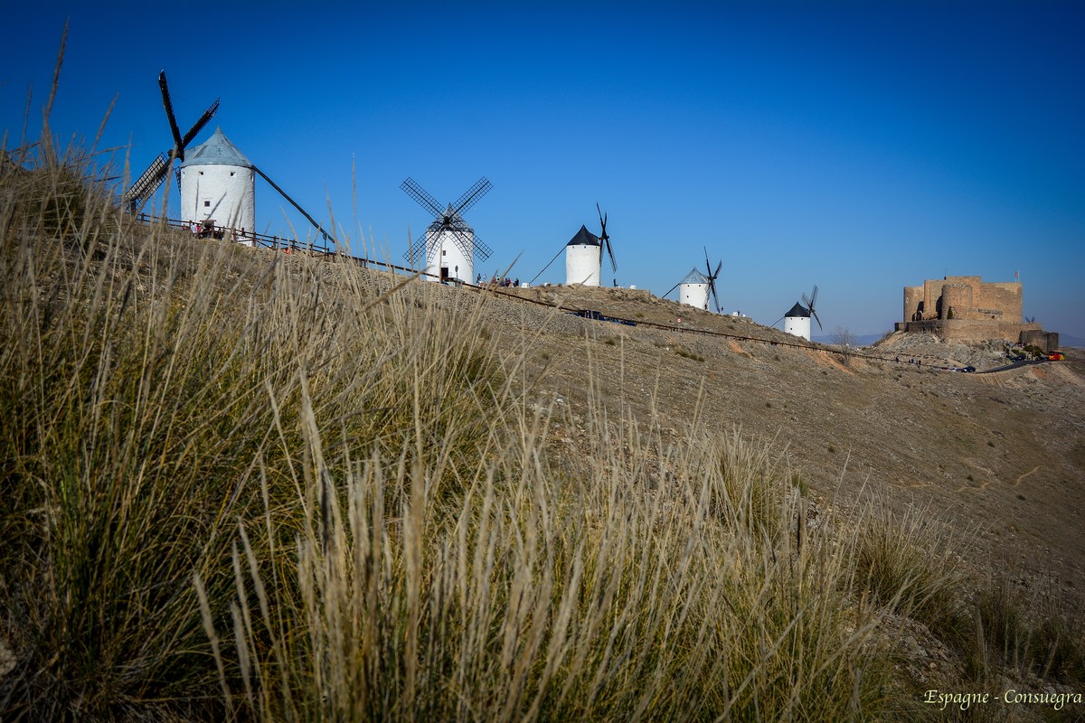 moulins de Consuegra