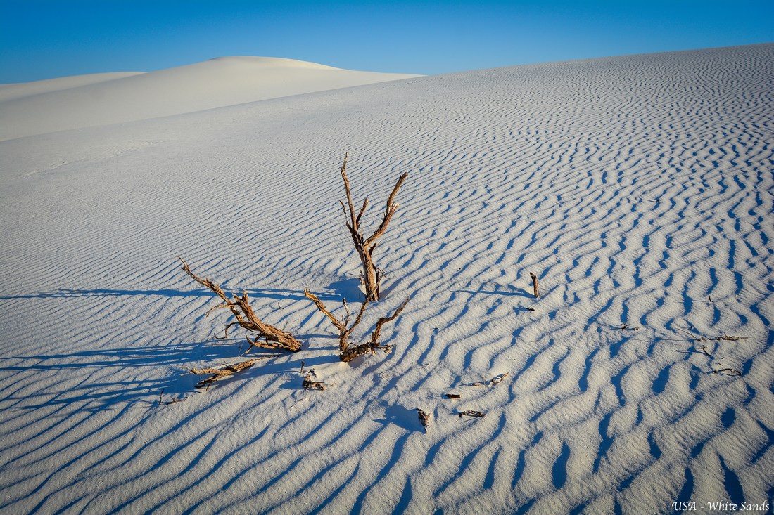 white sands NP white sands NP