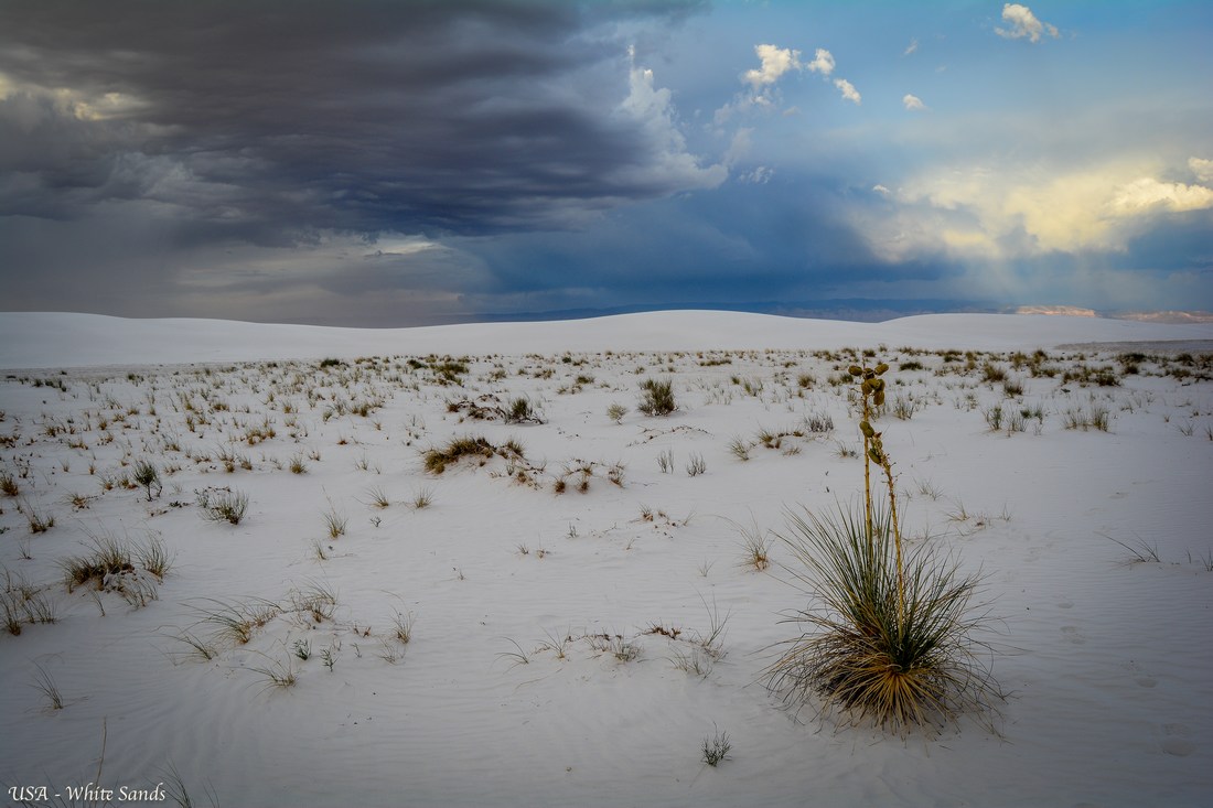 white Sands national park white Sands national park