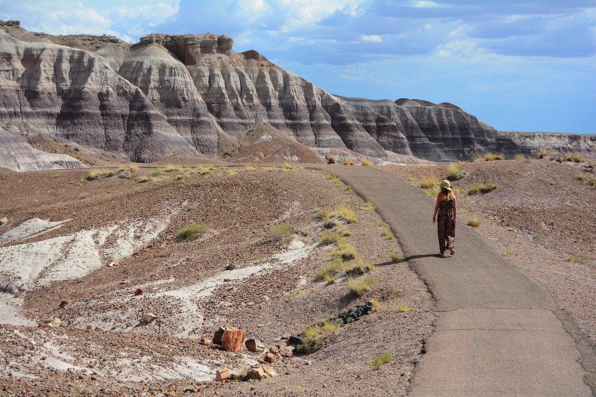 Petrified Forest Blue Mesa