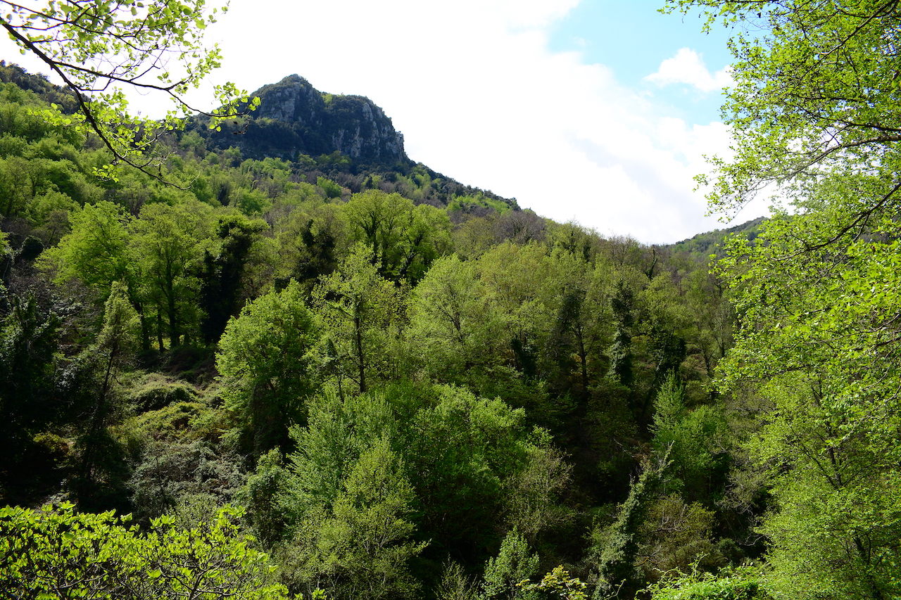 Castello Vecchio Corse