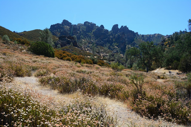 Pinnacles National Park
