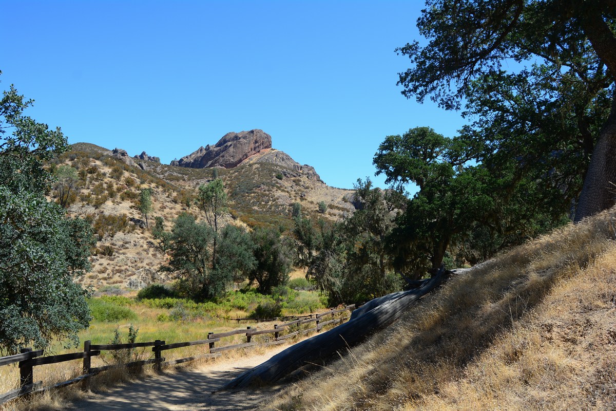Pinnacles National Park