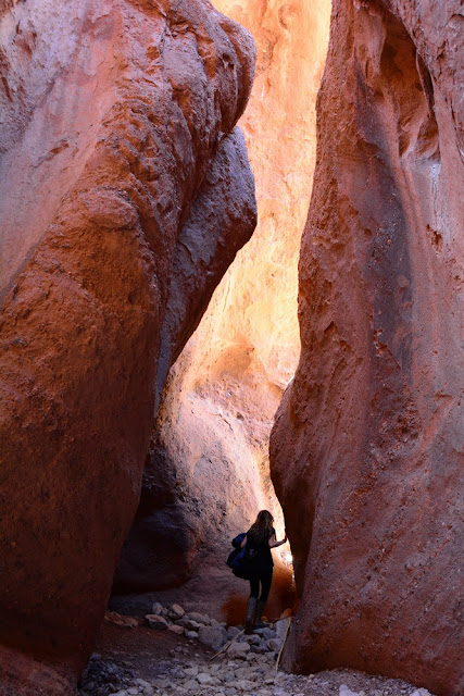 Dadès doigts de singe