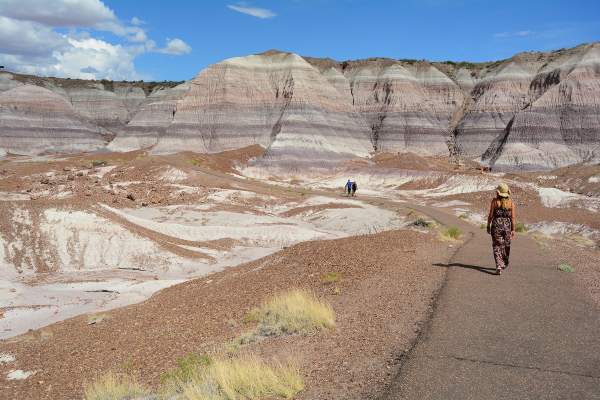 Blue Mesa Petrified Forest
