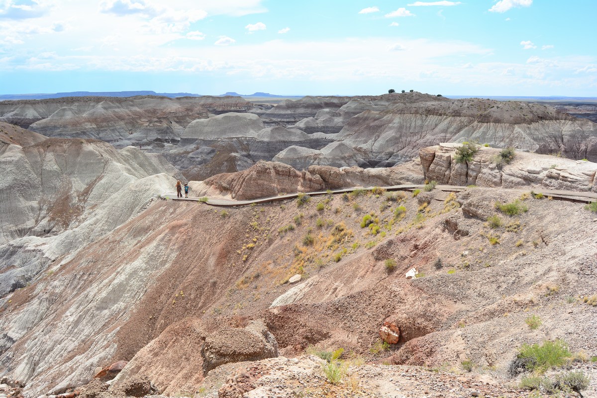 Blue Mesa Trail Petrified Forest