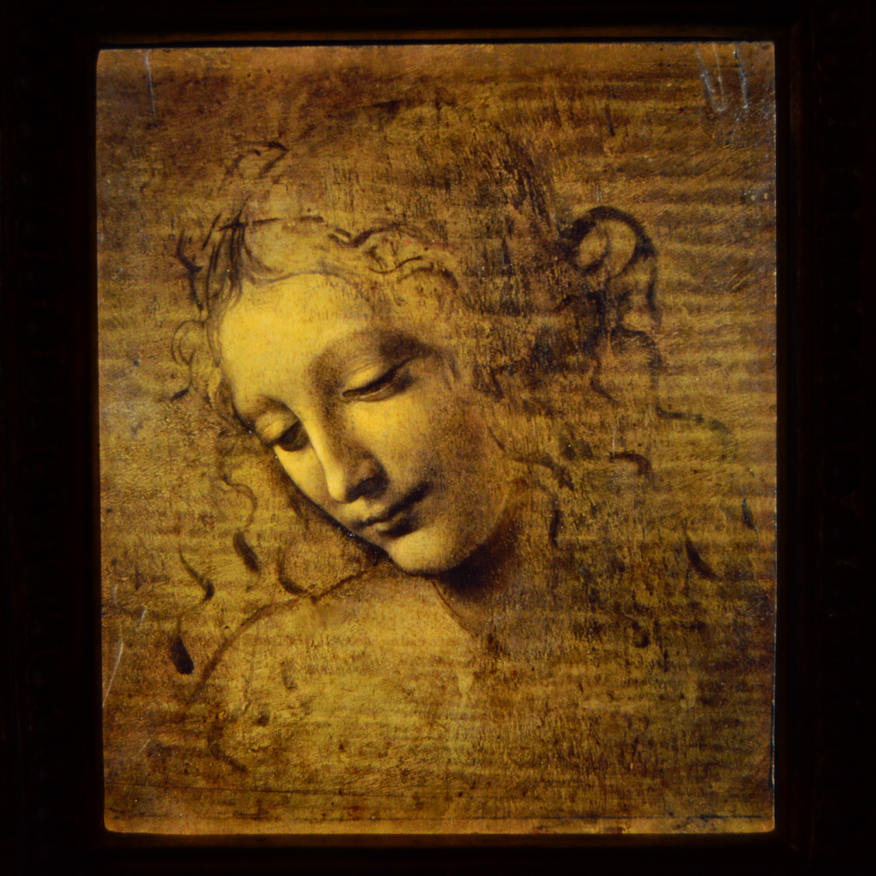 La Scapigliata - Léonard de Vinci