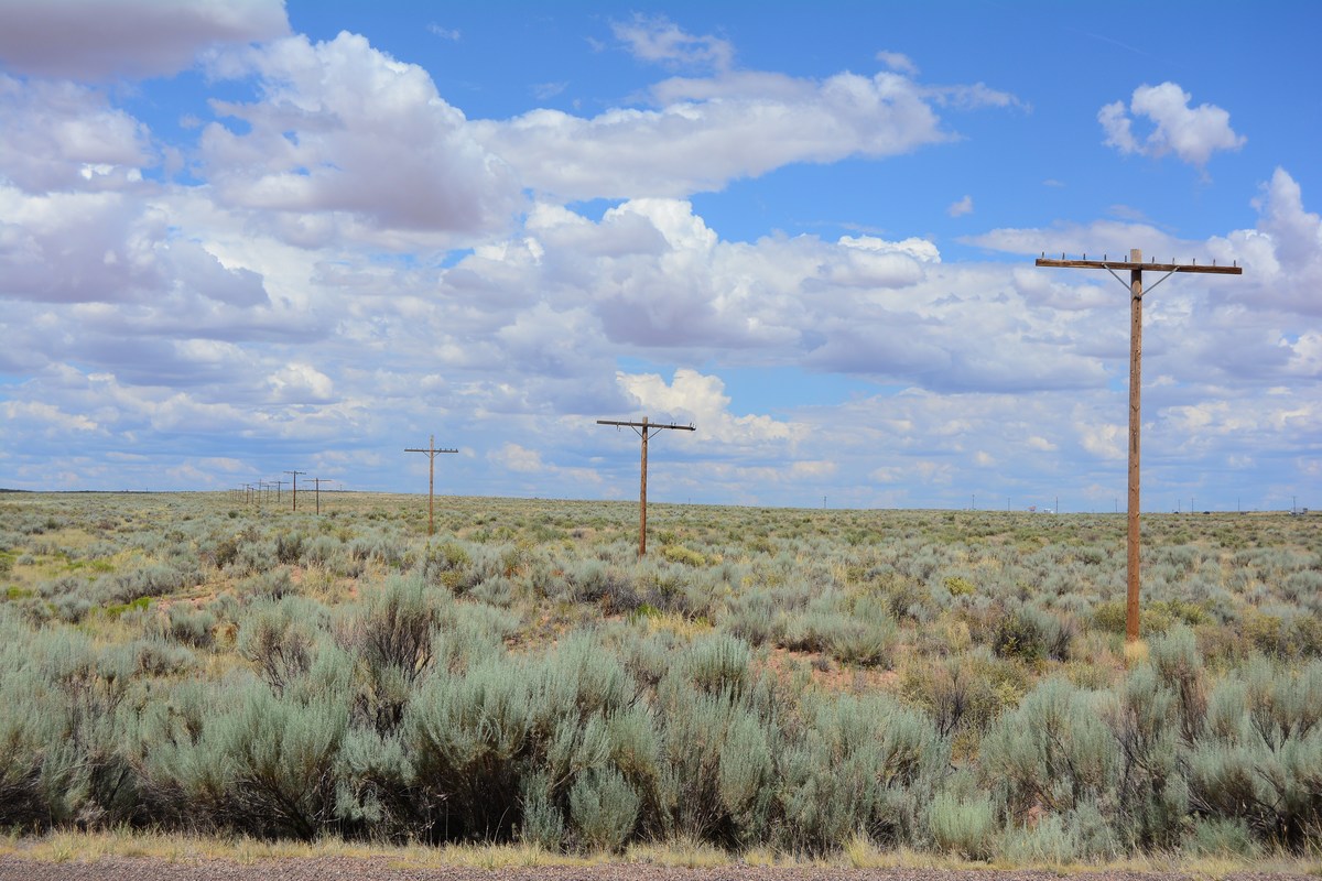 route 66 Petrified Forest