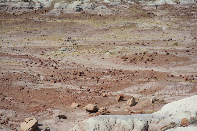 Jasper Forest Petrified Forest