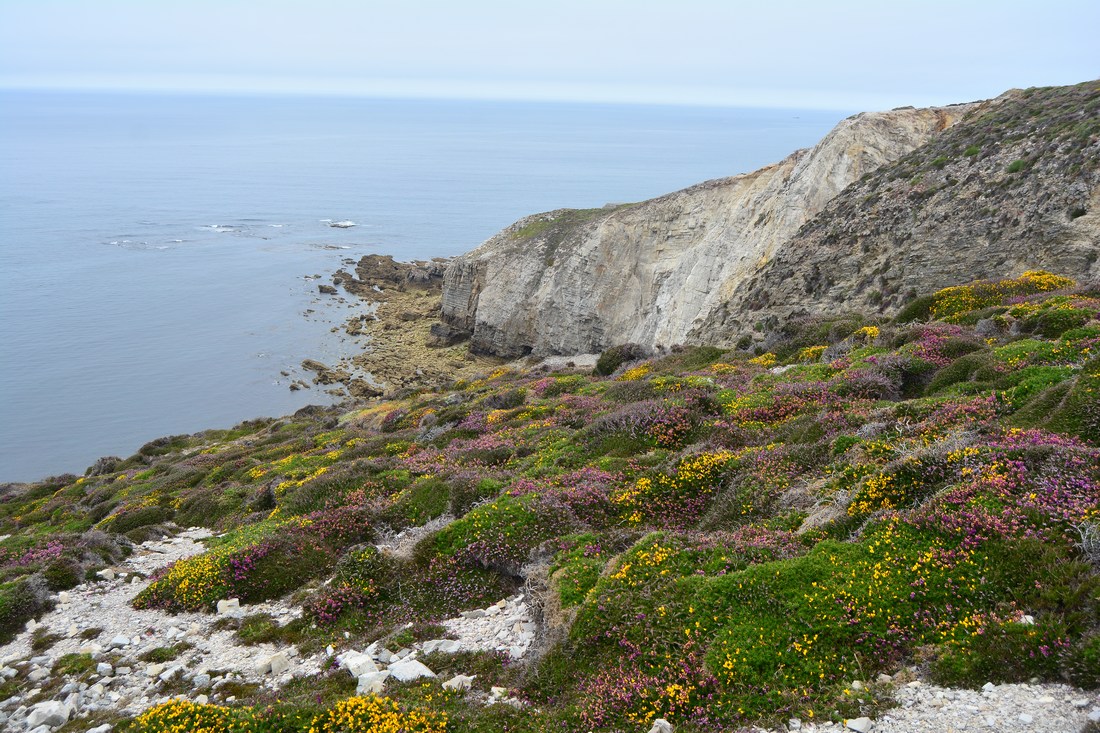 cap de la Chèvre