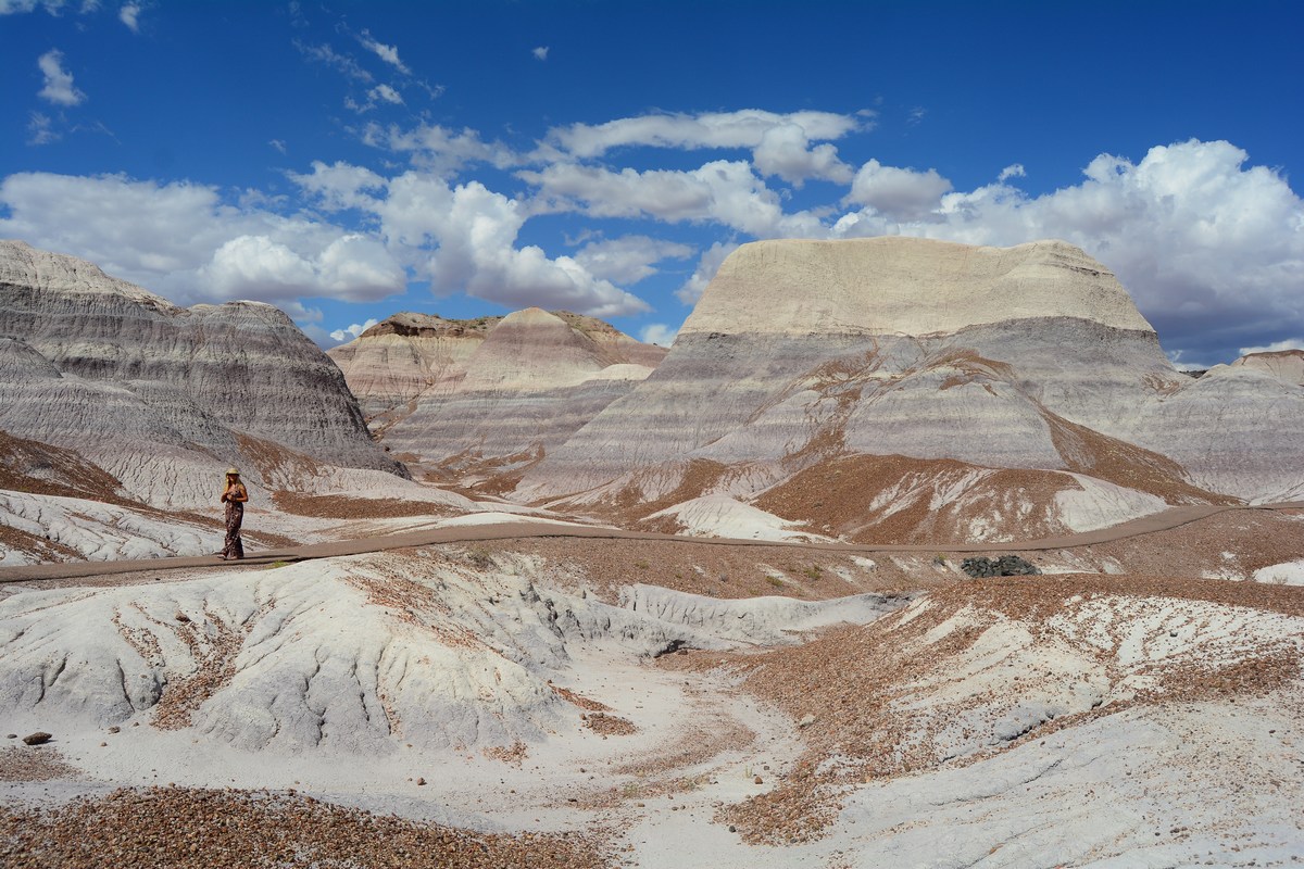 Blue Mesa Trail Petrified Forest