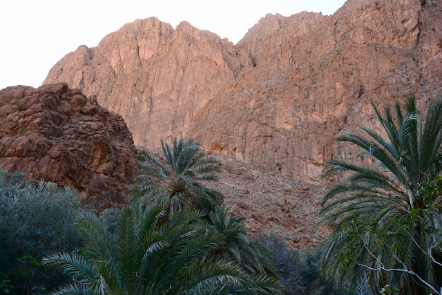 Todra Maroc