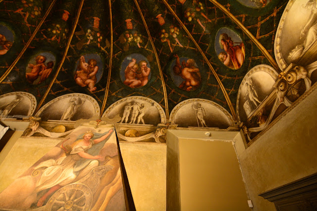 Camera di San Paolo Parme