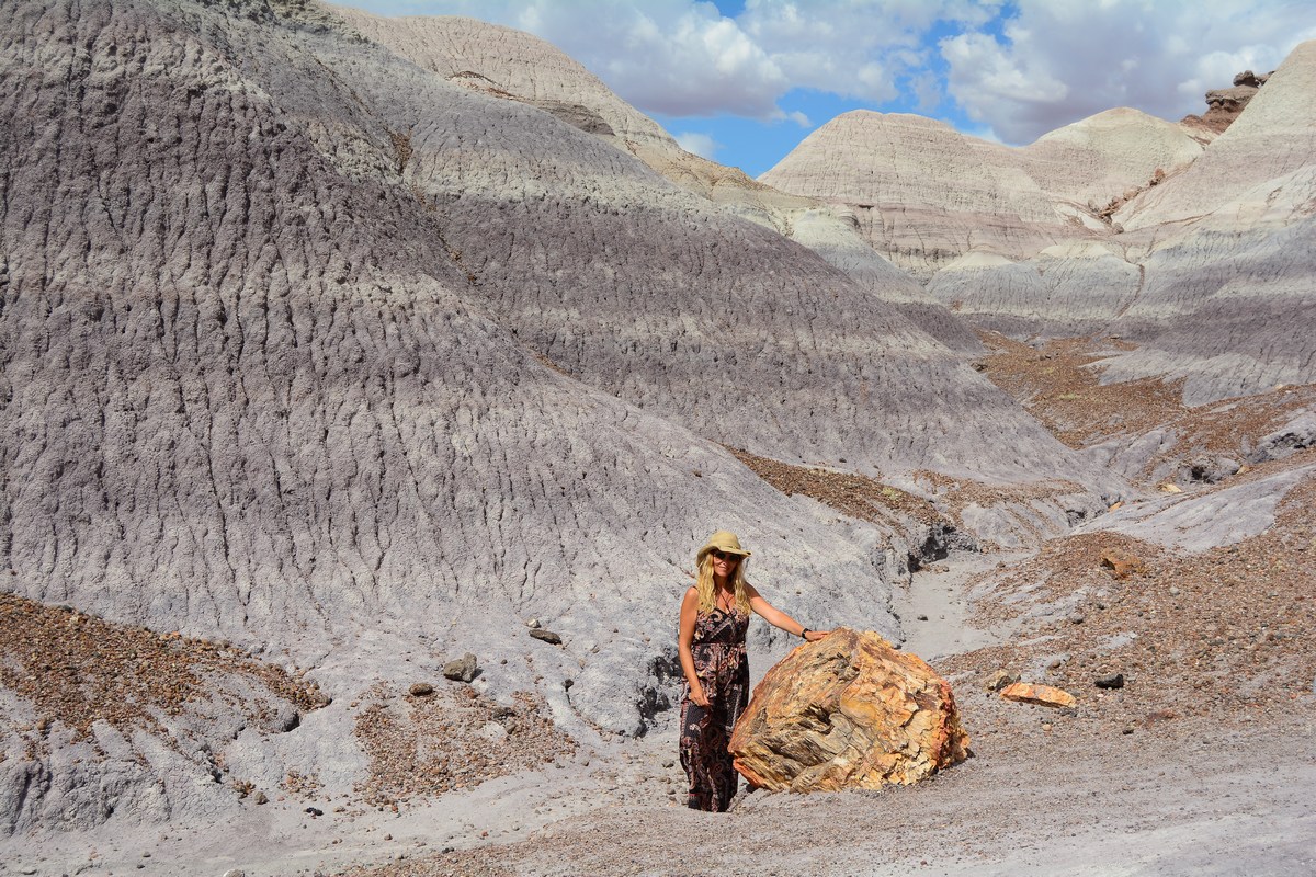 bois pétrifié Petrified Forest