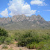 Etats-Unis - Organ Mountains National Monument